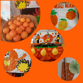 Festa degli agrumi